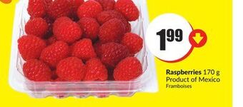 FreshCo Raspberries 170 g product of mexico offer