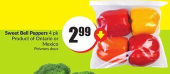 FreshCo Sweet bell peppers 4 pk product of ontario or mexico offer