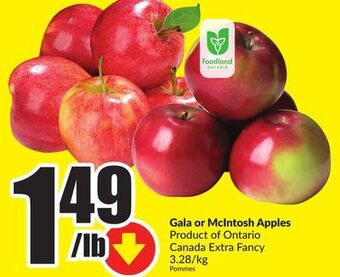 FreshCo Gala or mcintosh apples product of ontario canada extra fancy 3.28/kg offer