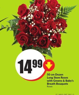 FreshCo 50 cm dozen long stem roses with greens & baby's breath bouquets offer