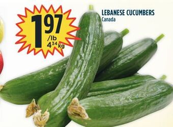 Marché Adonis Lebanese cucumbers offer