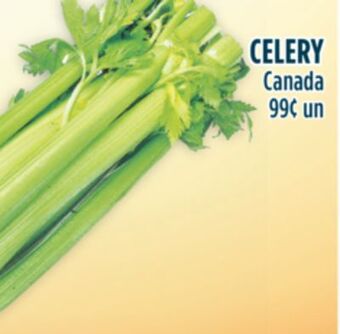 Marché Adonis Celery offer