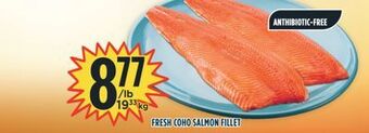 Marché Adonis Fresh coho salmon fillet offer