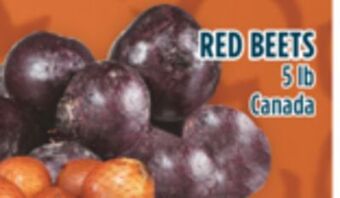 Marché Adonis Red beets offer