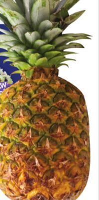 Giant Tiger Pineapple offer