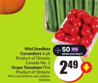 Chalo FreshCo Mini seedless cucumbers 6 pk product of ontario canada no. 1 grape tomatoes pint product of ontario offer