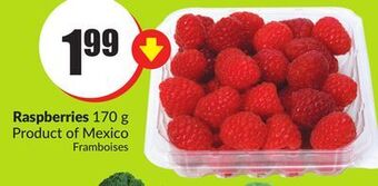 Chalo FreshCo Raspberries 170 g product of mexico offer