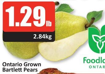 Starsky Ontario grown bartlett pears offer