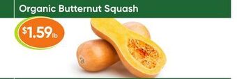 Healthy Planet Organic butternut squash offer