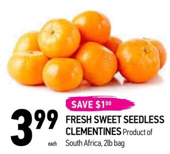 Fresh sweet seedless clementines