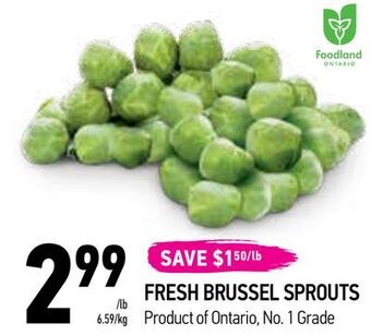 Coppa's Fresh Market Fresh brussel sprouts offer