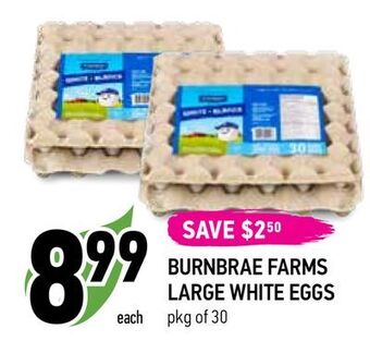 Coppa's Fresh Market Burnbrae farms large white eggs offer