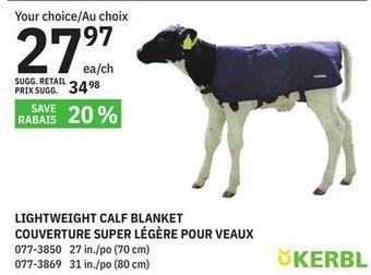 BMR Lightweight calf blanket offer