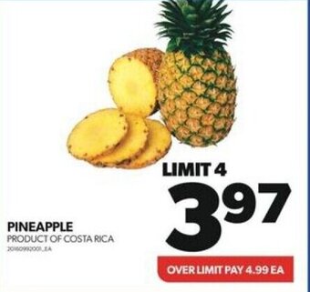 Real Canadian Superstore PINEAPPLE offer