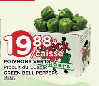 Kim Phat Green bell peppers offer