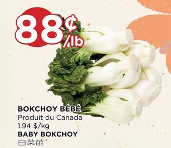 Kim Phat Baby bokchoy offer