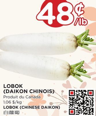 Kim Phat Lobok (chinese daikon) offer