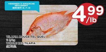 Kim Phat Whole red tilapia offer