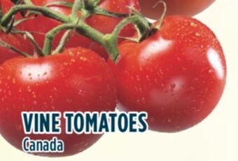 Marché Adonis Vine tomatoes offer