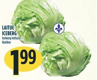 Marché Adonis Laitue iceberg offer