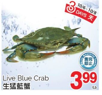 T&T Supermarket Live blue crab offer
