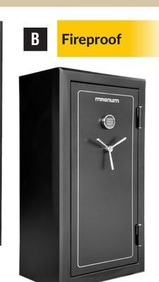 Princess Auto 30-gun digital gun safes offer