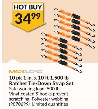 Princess Auto 10 pk 1 in. x 10 ft1,500 lb ratchet tie-down strap set offer