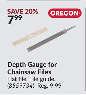 Princess Auto Depth gauge for chainsaw files offer