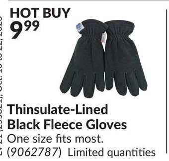 Princess Auto Thinsulate-lined black fleece gloves offer