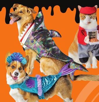 Petsmart Costumes & apparel offer