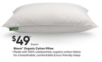 Sleep Country Bloom organic cotton pillow offer