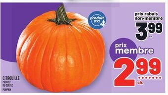 Metro Citrouille | pumpkin offer