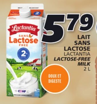 IGA Lactantia lactose-free milk offer