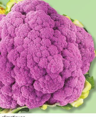 IGA Purple, orange, green or romanesco cauliflower offer