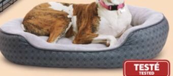 Canadian Tire Petco 46 x 38 pet bed offer