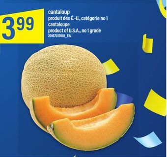 Maxi Cantaloup offer