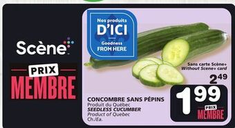 Marches Tradition Seedless cucumber offer