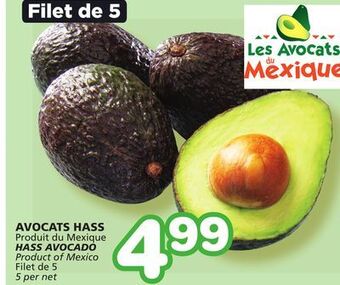 Marches Tradition Hass avocado offer