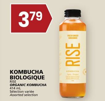 Rachelle-Bery Grocery Rise organic kombucha offer