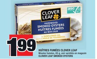 Super C Huîtres fumées clover leaf | clover leaf smoked oysters offer
