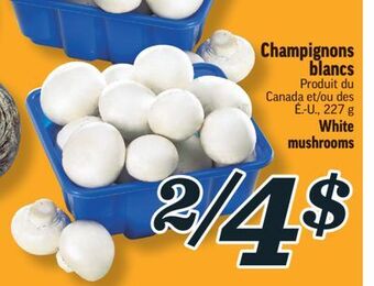 Marché Richelieu Champignons blancs | white mushrooms offer