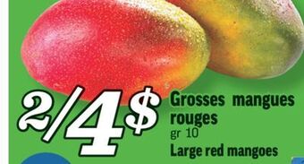Marché Richelieu Grosses mangues rouges | large red mangoes offer