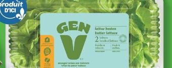 Marché Richelieu Laitue boston duo gen v | gen v boston lettuce duo offer