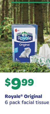 Fortinos Royale original 6 pack facial tissue offer