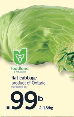 Fortinos Flat cabbage offer
