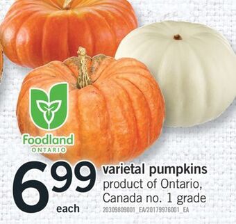 Fortinos Varietal pumpkins offer