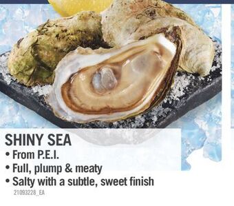 Fortinos Shiny sea offer