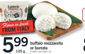 Fortinos Buffalo mozzarella or burrata 125 g offer