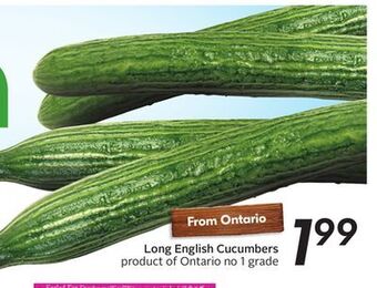 Sobeys Long english cucumbers offer