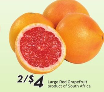 Sobeys Large red grapefruit offer